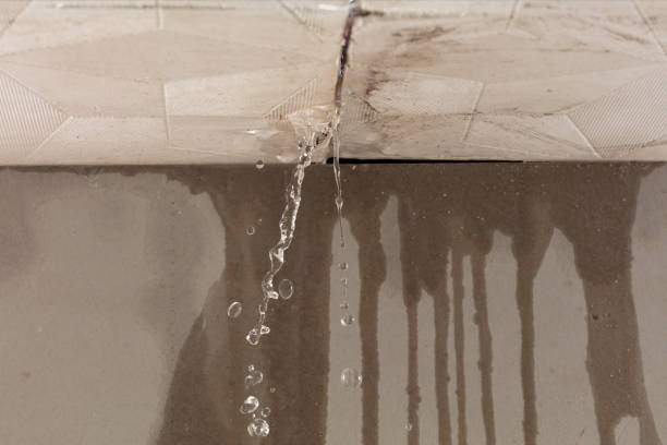 Professional Water Damage Inspection technician working in Plympton, MA